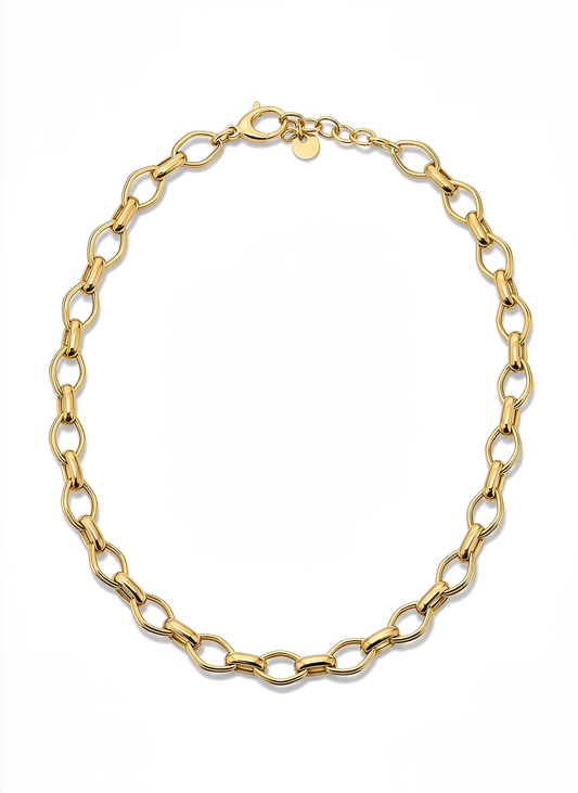 Collana a Maglia Ovale DVCCIO in Argento 925 Laminato Oro 24KT