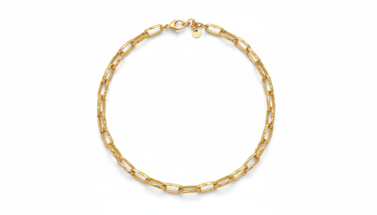 Collana a Catena DVCCIO in Argento 925 Laminato Oro 24KT